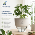 Joviblue™ AquaRise Smart Root Planter
