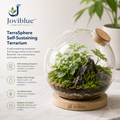 Joviblue™ EcoVista Living Glass Habitat
